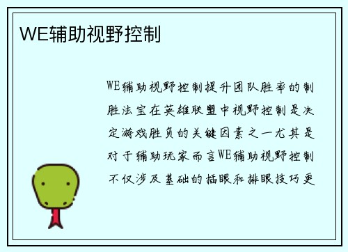 WE辅助视野控制