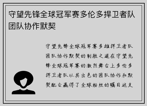 守望先锋全球冠军赛多伦多捍卫者队团队协作默契